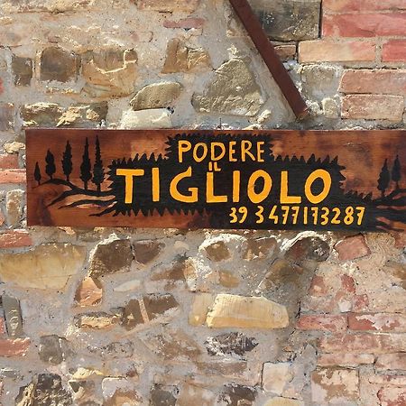 Podere Il Tigliolo Castiglione dʼOrcia Zewnętrze zdjęcie