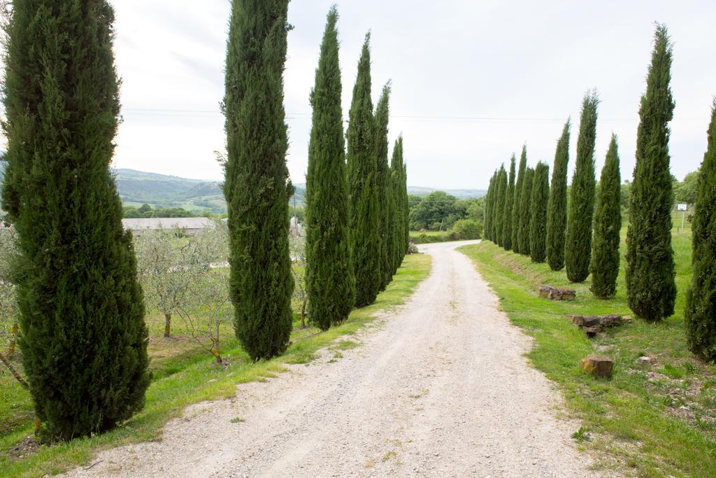 Podere Il Tigliolo Castiglione dʼOrcia Zewnętrze zdjęcie