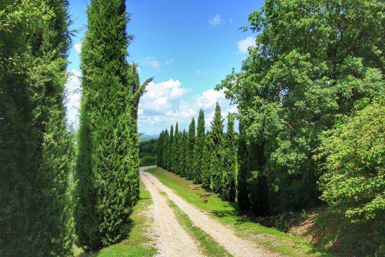 Podere Il Tigliolo Castiglione dʼOrcia Zewnętrze zdjęcie